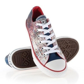 Converse Chuck Taylor All Star Jr 647644C flerfarvet