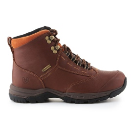 Ariat Berwick Gtx W 10016298 sko brun