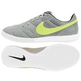 Nike Premier 2 Sala Ic M AV3153 012 fodboldsko grå grøn skygger af grå