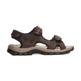 Vices 9SD9176L-SKORA-54-brun