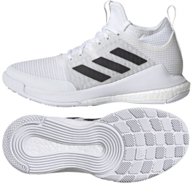 Adidas CrazyFlight Mid W FX1792 volleyballsko flerfarvet brun