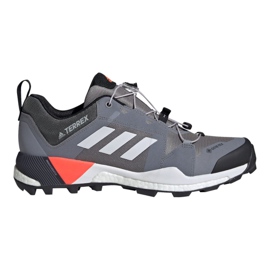 Adidas Terrex Skychaser Gtx M EG2868 sko flerfarvet