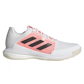 Adidas Crazyflight Tokyo M GW2321 sko hvid hvid
