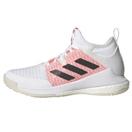 Adidas CrazyFlight Mid M FZ4675 sko hvid