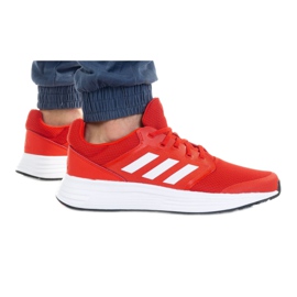 Sko adidas Galaxy 5 Vived M FY6721 rød