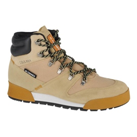 Adidas Terrex Snowpitch Cold.Rdy M FZ3377 sko beige