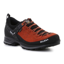 Salewa Ms Mtn Trainer 2 Gtx sko 61356-7519 sort
