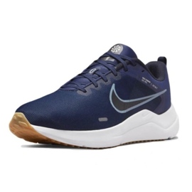 Nike Downshifter 12 DD9293-400 sko blå