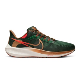 Nike Air Zoom Pegasus 39 AIR Hola Lou M DO9500-300 sko grøn