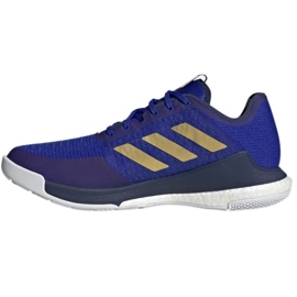 Volleyballsko adidas CrazyFlight Mid M HQ3488 blå blå