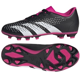 Sko adidas Predator Accuracy.4 Fg Jr HQ0952 sort sort