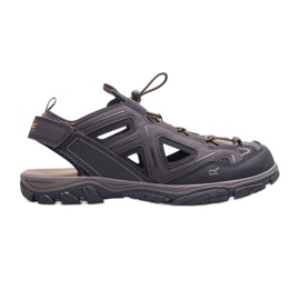 Herresandaler REGATTA Westhore 3 RMF735-T3D brun flerfarvet