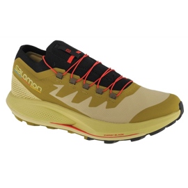 Sko Salomon Pulsar Trail-Pro M 415936 grøn