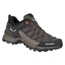 Salewa Mtn Trainer Lite Gtx W 61362-7517 trekkingsko brun