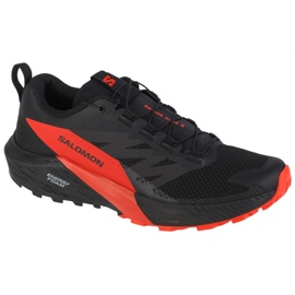 Sko Salomon Sense Ride 5 M 472143 sort