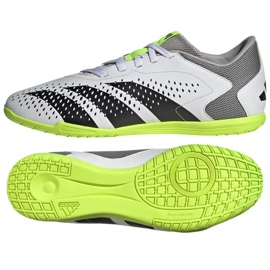 Adidas Predator Accuracy.4 In M GY9986 fodboldsko hvid hvid