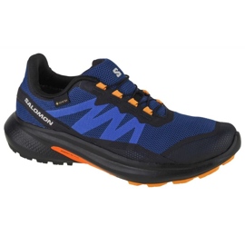 Sko Salomon Hypulse Gtx M 415961 blå