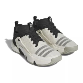 Adidas Trae Unlimited M IF5609 sko hvid hvid