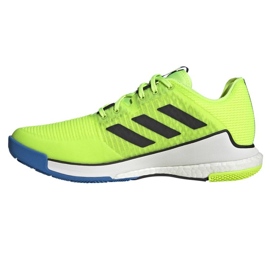 Adidas CrazyFlight M HP3356 volleyballsko grøn