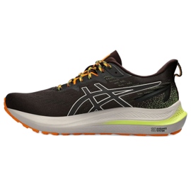 Asics GT-2000 12 Tr M 1011B775 200 løbesko sort