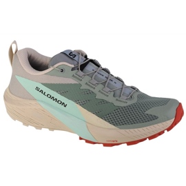 Salomon Sense Ride 5 Off-Road Sportssko 472123 grøn
