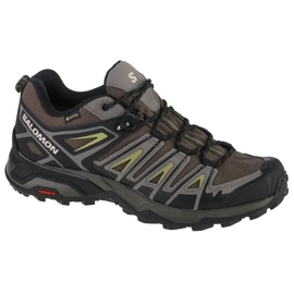 Salomon X Ultra Pioneer Gtx M 471967 sko sort