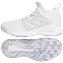 Adidas Crazyflight Mid W volleyballsko HQ3491 hvid