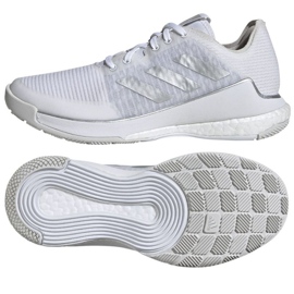 Adidas Crazyflight W IG3970 volleyballsko hvid