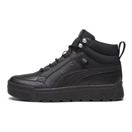 Puma Tarrenz Sb Iii sko 39262801 sort