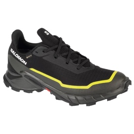 Salomon Alphacross 5 Gtx sko 474604 sort