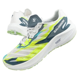 Salomon Aero Volt M 470451 sko flerfarvet