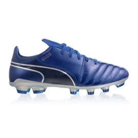 Puma 2 Hg Japan sko 104983 04 blå