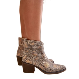 Dame Gold Snake cowboystøvler flerfarvet