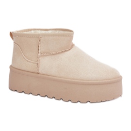 Snestøvler til kvinder isoleret med pels TL242-8, beige