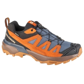 Salomon X Ultra 360 LTR GTX L47684900 Trekking Sko brun