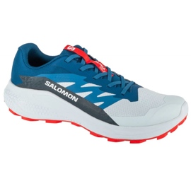 Salomon Alphaglide Ballad L47724300 løbesko grå