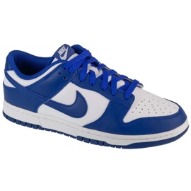 Nike Dunk Low Retro DV0833-103 sko hvid
