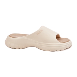 Big Star RR274A579 Kvinders beige beige