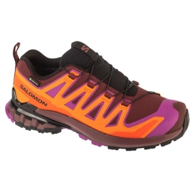 Salomon XA Pro 3D V9 GTX løbesko i L47961900 flerfarvet