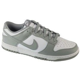 Nike Dunk Low Retro HF5441-105 Sko