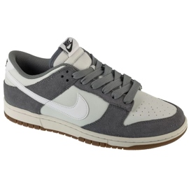 Nike Dunk Low Retro SE M IB6399-001 Sko