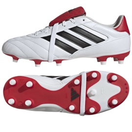 Adidas Copa Gloro II FG JR2871 Sko flerfarvet