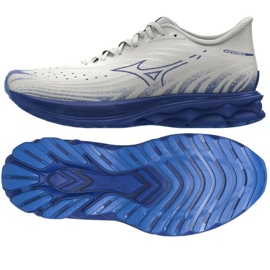 Mizuno Wave Skyrise 6 M J1GC250954 Sko