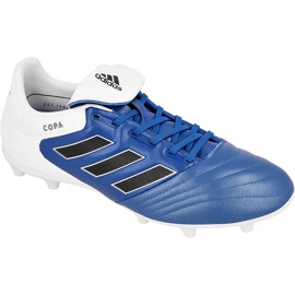Adidas Copa 17.3 Fg M BA9717 fodboldstøvler blå blå