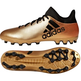 Adidas X 17.3 Ag M CP9233 fodboldstøvler flerfarvet gylden