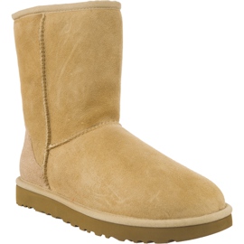 Ugg Klassisk kort Ii Sand gul