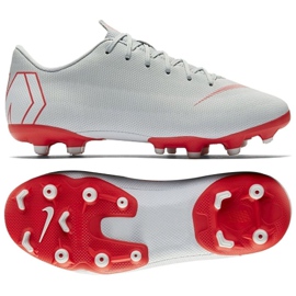 Nike Mercurial Vapor 12 Academy Gs Mg Jr AH7347-060 fodboldsko flerfarvet sølv