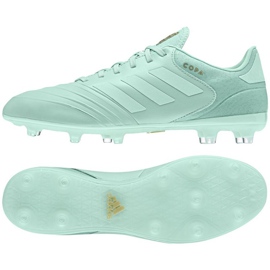 Adidas Copa 18.2 Fg M. Fodboldstøvler blå