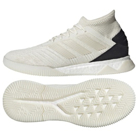 Indendørs sko adidas Predator 19.1 Tr M D98056 flerfarvet hvid
