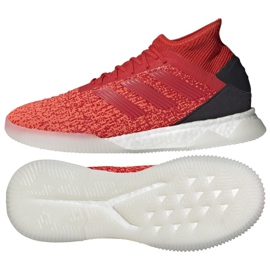 Indendørs sko adidas Predator 19.1 Tr M D98057 flerfarvet rød